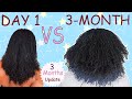 DIY MICRO LOCS JOURNEY  /  3 MONTHS LOCS UPDATE  / TWO STRAND TWIST MICRO LOCS