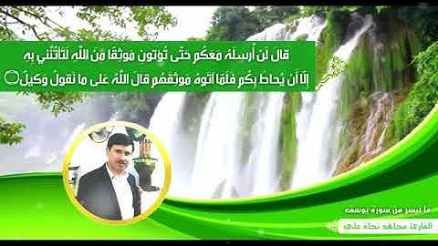 سورة يوسف_القارئ مجاهد نجاة علي