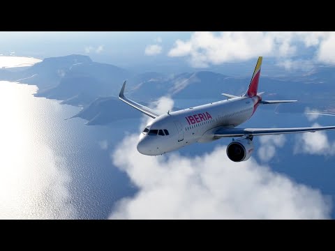 Microsoft Flight Simulator