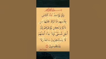 #القران_كريم 🎆 #سورة #النحل #اكسبلور #استغفر_الله_واتوب_إليه_استغفر_الله_العظيم 🏵