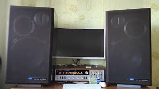 Pioneer S 9500