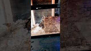 Download Lagu July 7, 2022 MP3