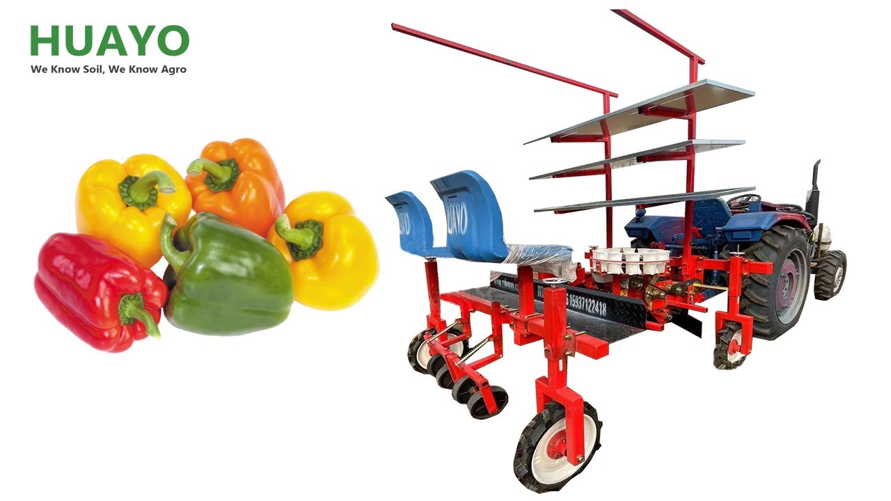 2-Row Pepper  Chilli Tomato Transplanter drive by tractor for large field Chilli Seedling transplant