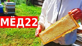 Мёд пошёл - места не хватает/сибирский пчелоблог