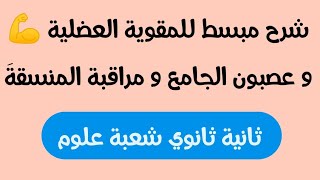 مفهوم مراقبة المنسقة+ العصبون الجامع+ المقوية العضلية💪