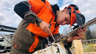 соревнования World skills. вальщик леса. Владимирская область