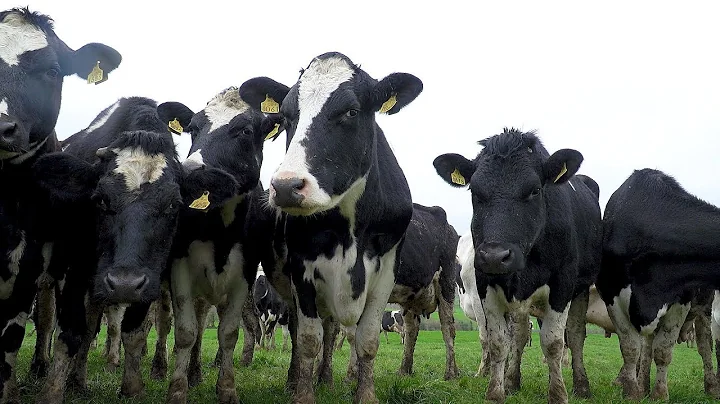 Farm Smart Series: Louise Crowley