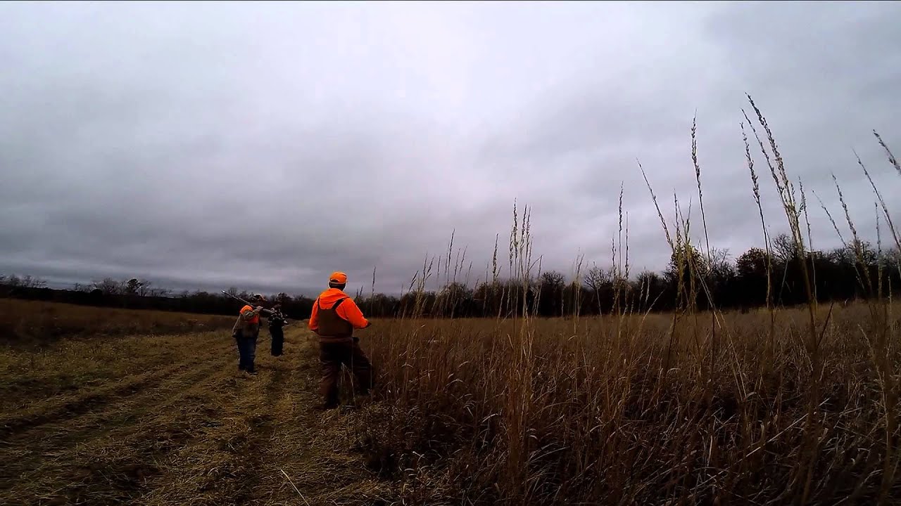 Quail Haven Pleasant Hope, MO. 11/23/2014 YouTube