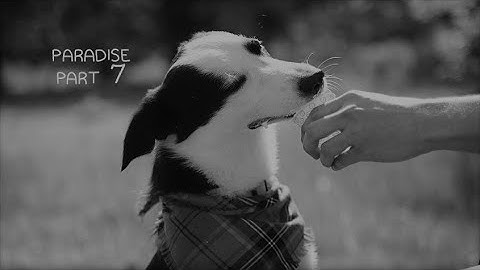 Paradise | Part 7