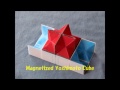 Magnetized Yoshimoto Cube