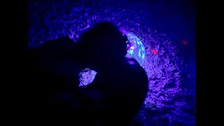 Wondery Kids Light Up Terrarium