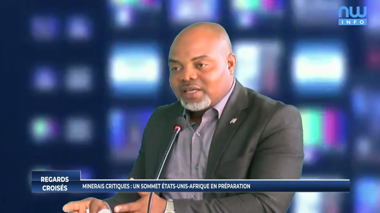 Minerais critiques : un sommet États-Unis - Afrique en préparation