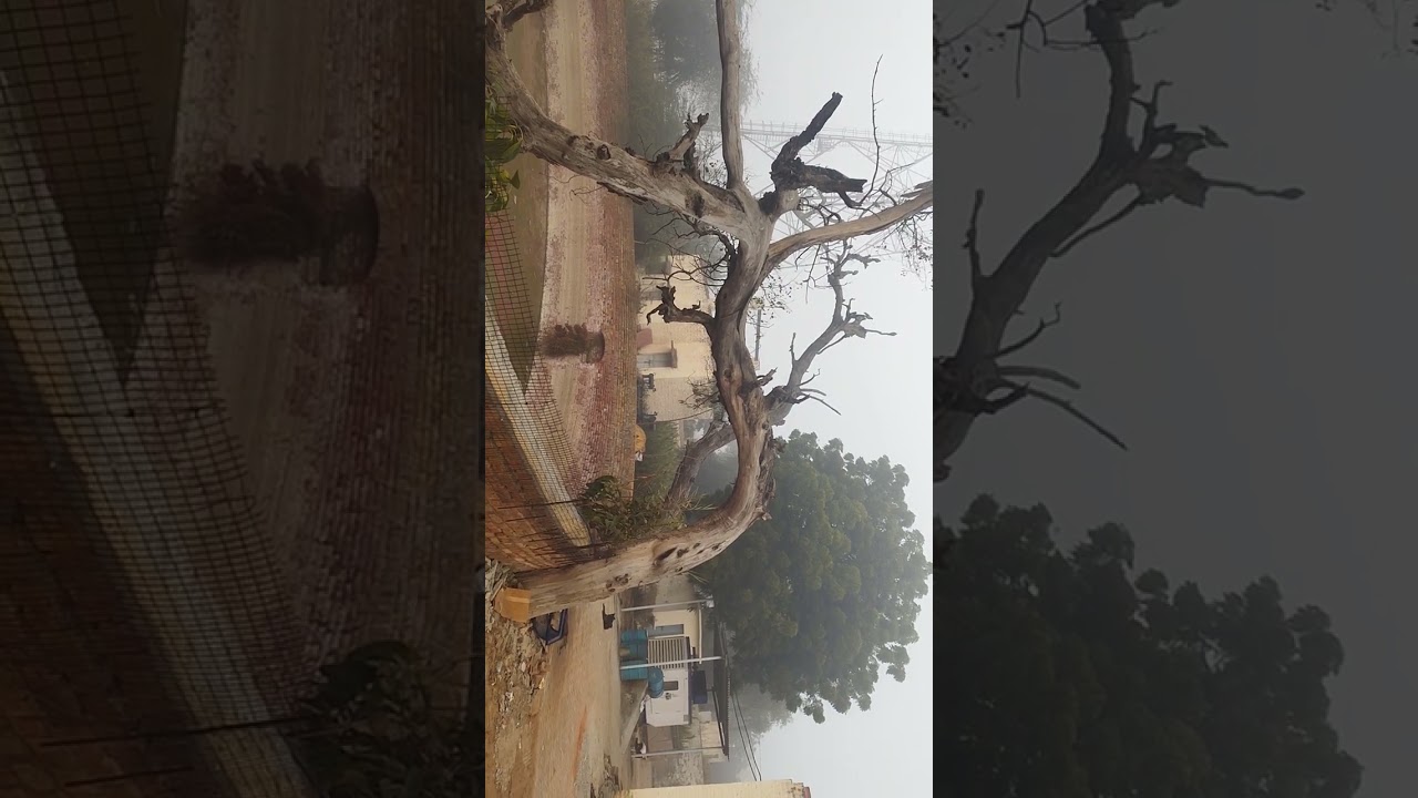 # A micro 🪟 view of NewConstruction work of 🚧 abohar railways station..