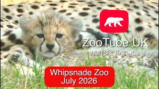 Baby Boom at the UK's Biggest Zoo - Whipsnade Zoo July 2026