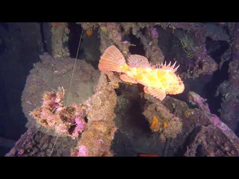 Wreck Bengasi 22 09 2020