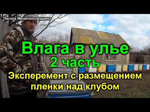 Влага в улье