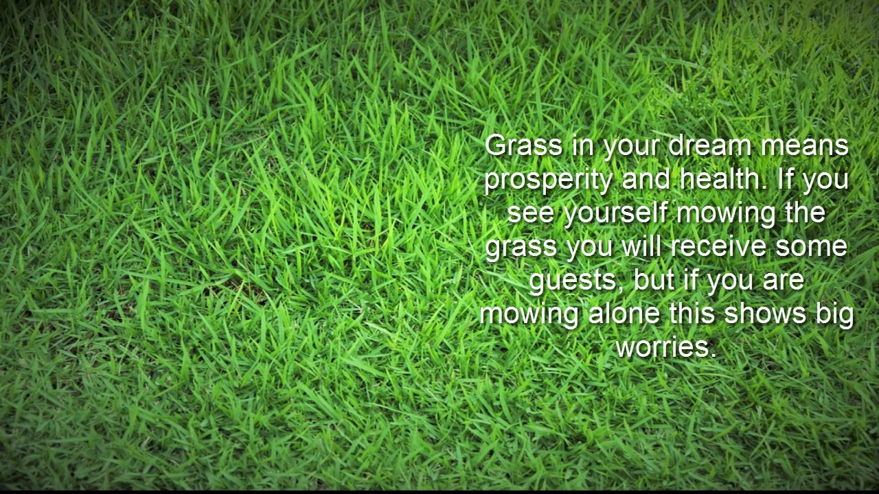Grass Dream Meaning YouTube Grass Dream Meaning YouTube