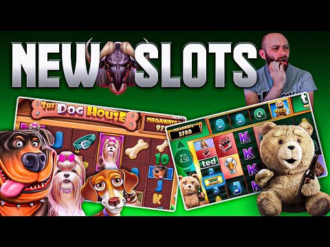 The dog Family Megaways Slot Enjoy Free Slots 2024