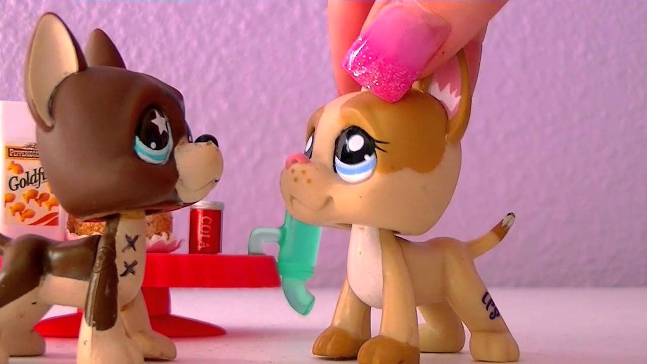 lps-10-worst-gifts-i-ve-ever-gotten-lpsskittles-youtube