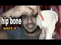 Hip bone anatomy bangla-part 1 ||hip bone||hip bone anatomy||hip bones||hip bone anatomy lecture