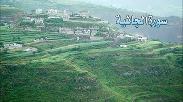 SURAH AL-JATSIYAH( QORI' HANI AR-RIFA'I) سورة الجاثية الشيخ هاني الرفاعي