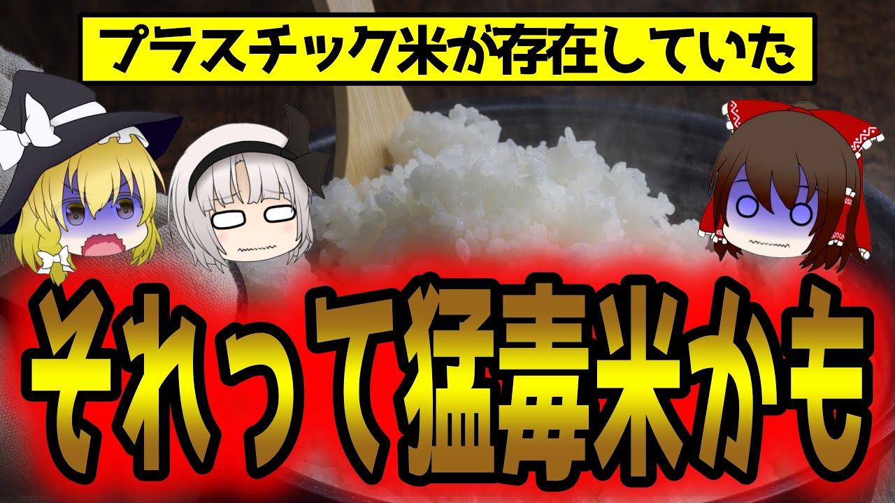 【衝撃】プラスチック米が存在してた!?もはや米ではない!【ゆっくり解説】