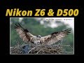 Nikon Z6 & D500 Osprey Nest Photography at Blythe Ferry