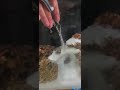 Deniz Akvaryum Kurulumu Nasıl Yapılır