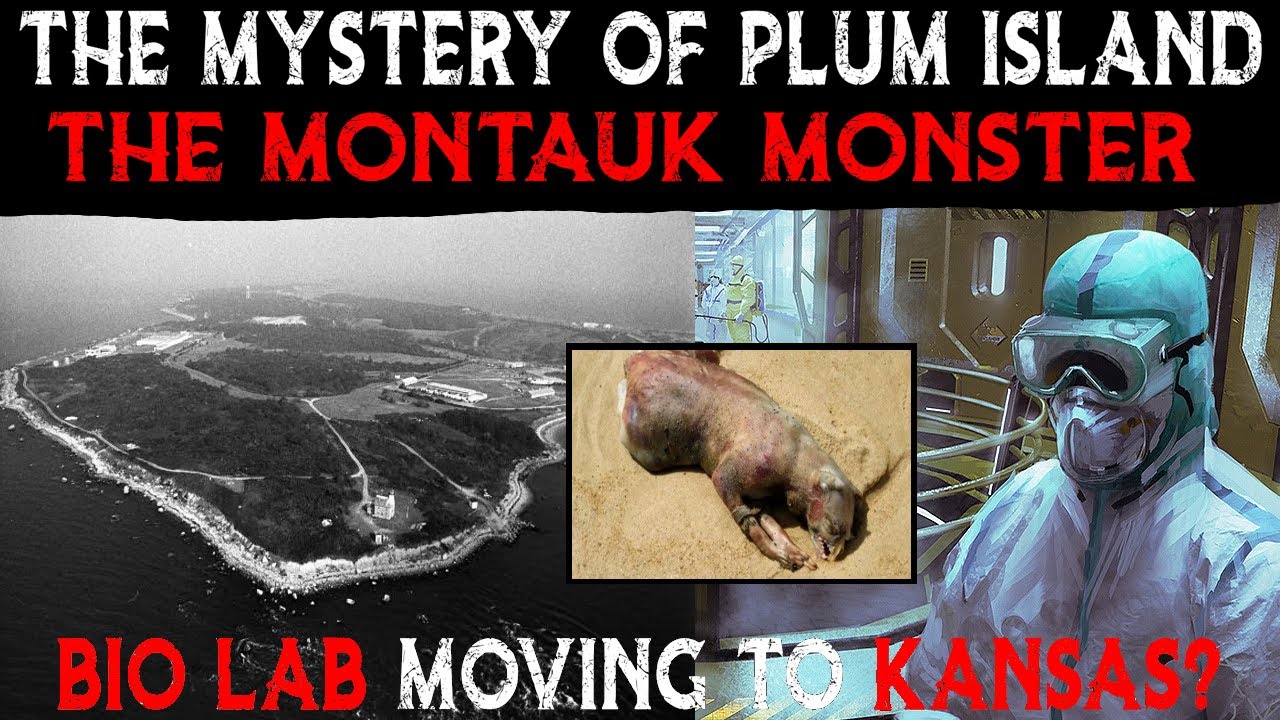The Mystery Of Plum Island The Montauk Monster & The Lab Moving to