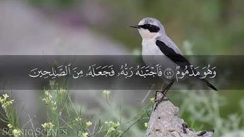 سورة القلم  الشيخ ابراهيم الزيات صوت الجميل❤️🥰