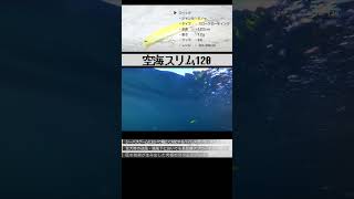 【水中映像】空海スリム120ってどんなルアー?!【メガバス】 #shorts