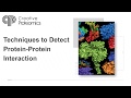 Introduction to the principle of proteinprotein interaction technology