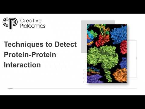 Video: Tinjauan Sistematik Mengenai Langkah-langkah Sentral Untuk Rangkaian Interaksi Protein-protein