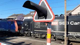 Bahnübergang Nähe Bahnhof Liestal BL / Güterzug SBB Cargo