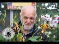 il rinvaso delle orchidee, ORCHIDEE, LE DOMANDE PIU' FREQUENTI video n° 7 di 9