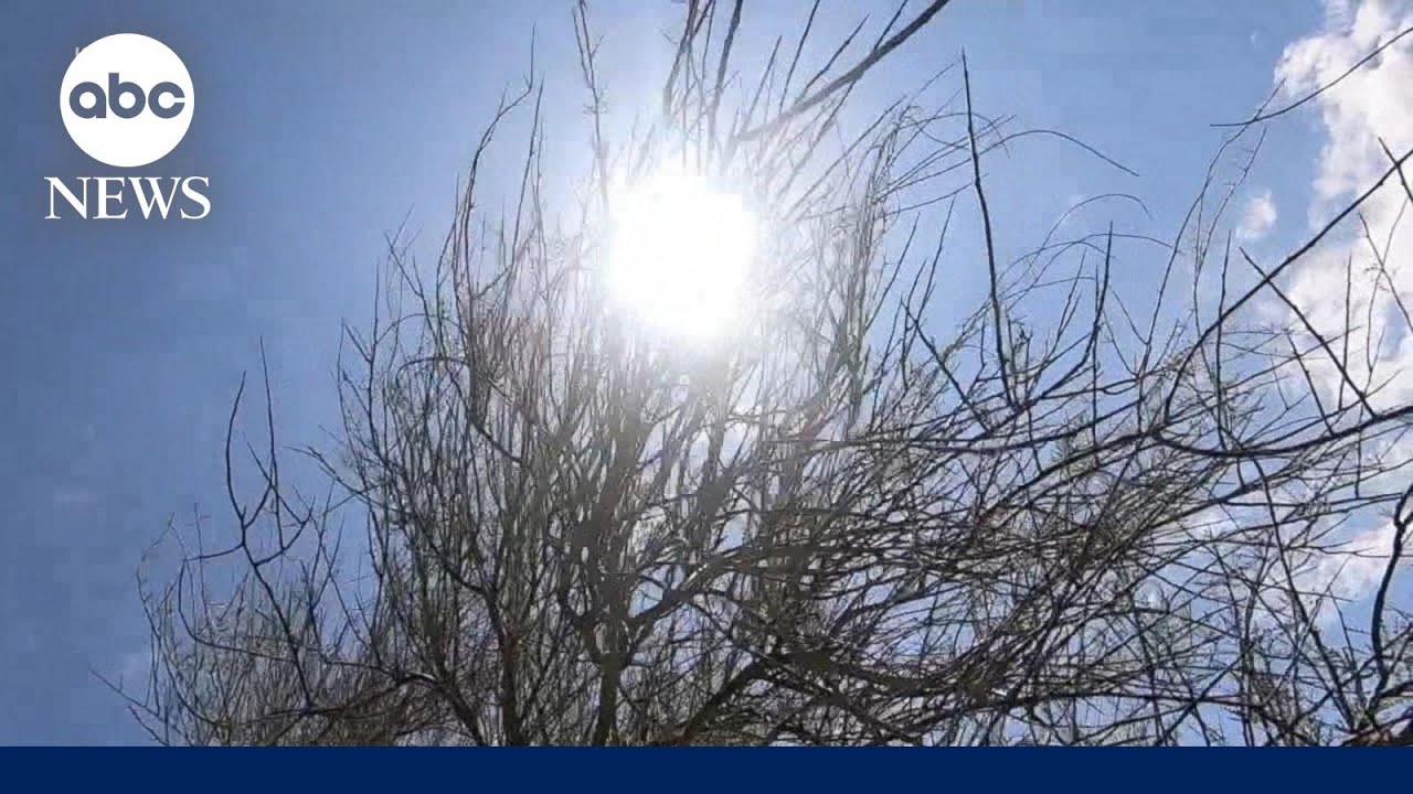 Phoenix set to break record for consecutive days of 110 degrees or higher