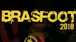 LANÇAMENTO - Brasfoot 2018 Android Oficial screenshot 4