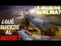 ¿Qué sucede al morir y qué hay después de la muerte? Si creías que no hay nada, te sorprenderás