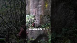 10,400 BC Giant Reptile & Megafauna Carvings