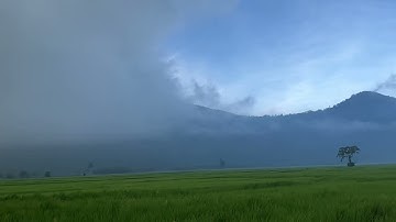 #cuocdoiratkhe #Sangnayhoano #Edogal #nuocsucmieng #viemhong #viemnuou  #xuhuong #thinhhanh #viral