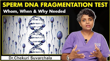 DNA Fragmentation Test for Whom, When & Why Needed || Dr Suvarachala || Ziva Fertility