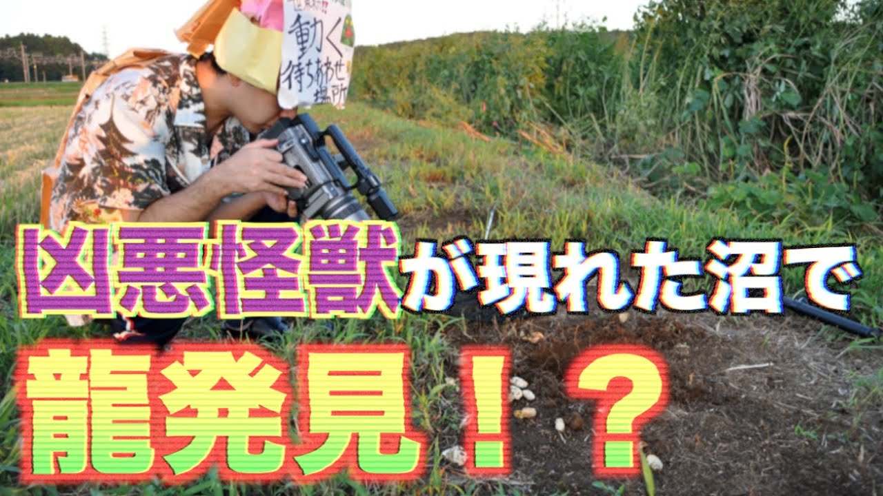 千葉に出現した巨大凶暴亀 ジャイアントデビルスナッパー を捜索せよ Youtube
