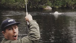 Floating Flies | A Dry Fly Fishing Film | Chapter 5-8 by Rolf Nylinder 61,376 views 3 years ago 15 minutes