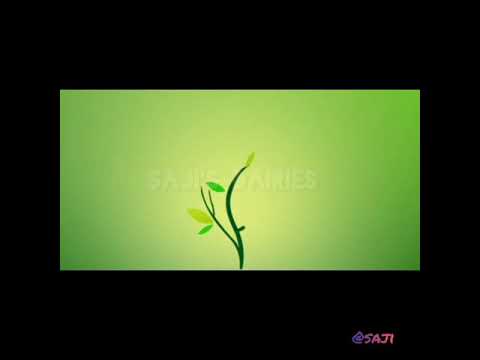 #indoorplants #moneyplantinlivingroom Make over of bedroom with indoor