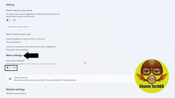 How to Enable Search highlights on Windows 11