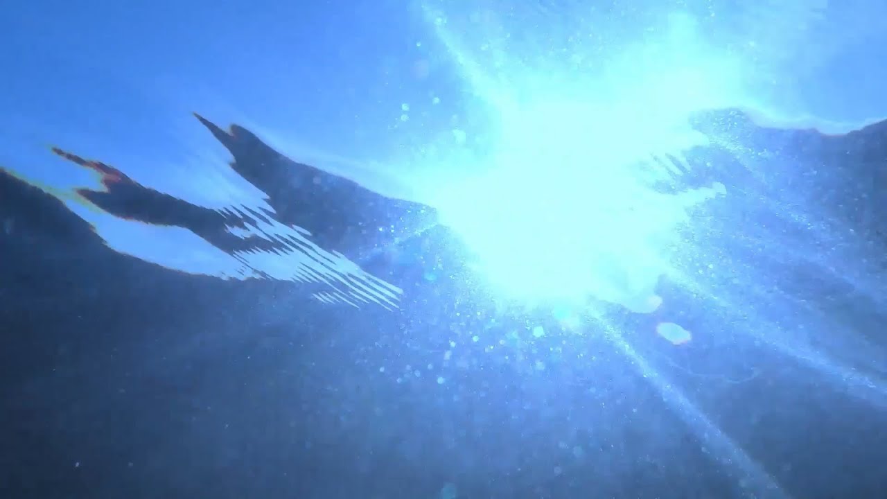 HEY SIS - Just A Fish In The Ocean (Official Lyricvideo)