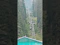 #gulmarg #cablecar #green #mountains