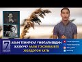 АКЫН ТЕМИРКУЛ ҮМӨТАЛИЕВДИН ЖАЗУУЧУ ААЛЫ ТОКОМБАЕВГЕ ЖОЛДОГОН КАТЫ