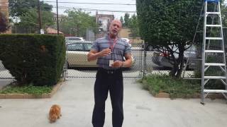08312016